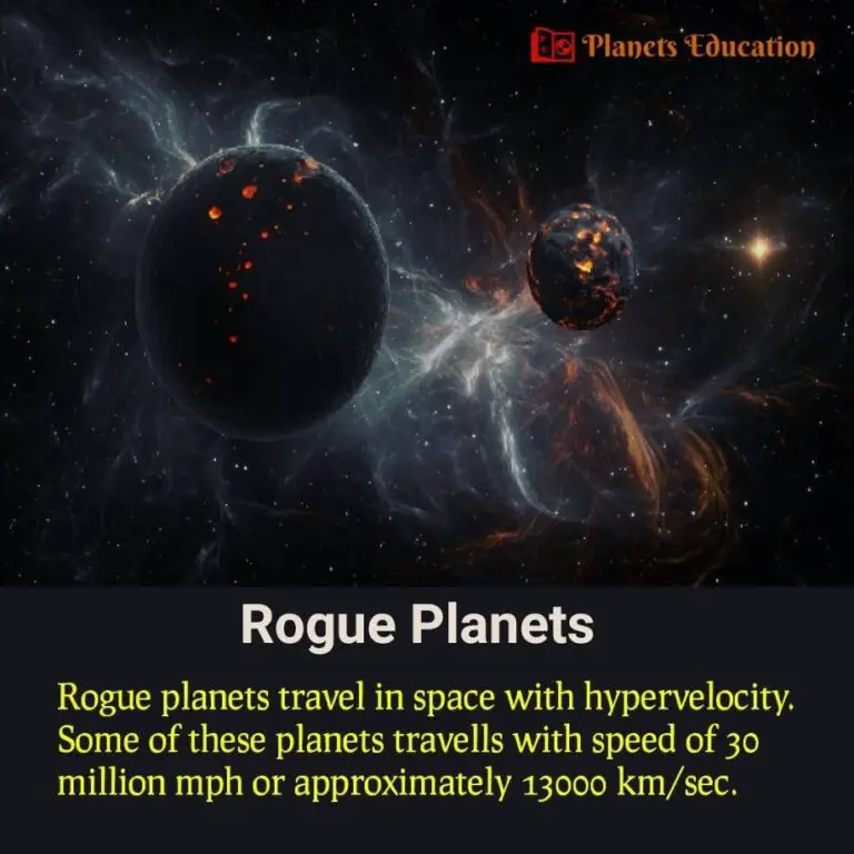 Rogue What is a rogue Education