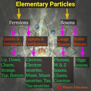 types of elementary particles